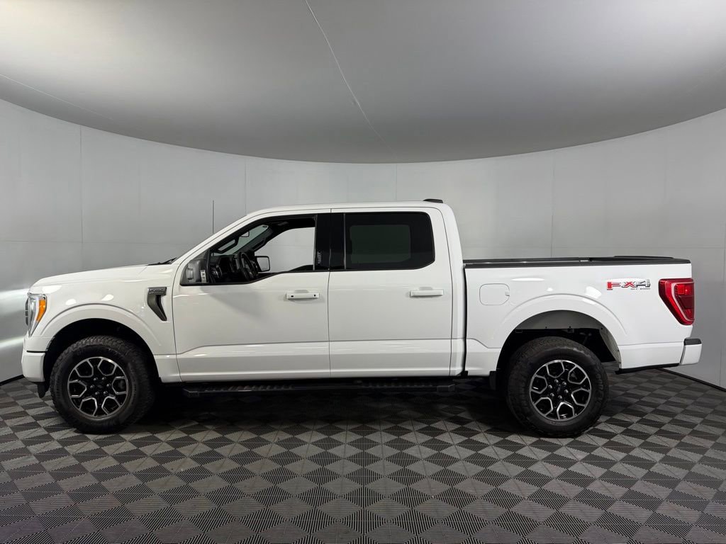 2023 Ford F150 XLT