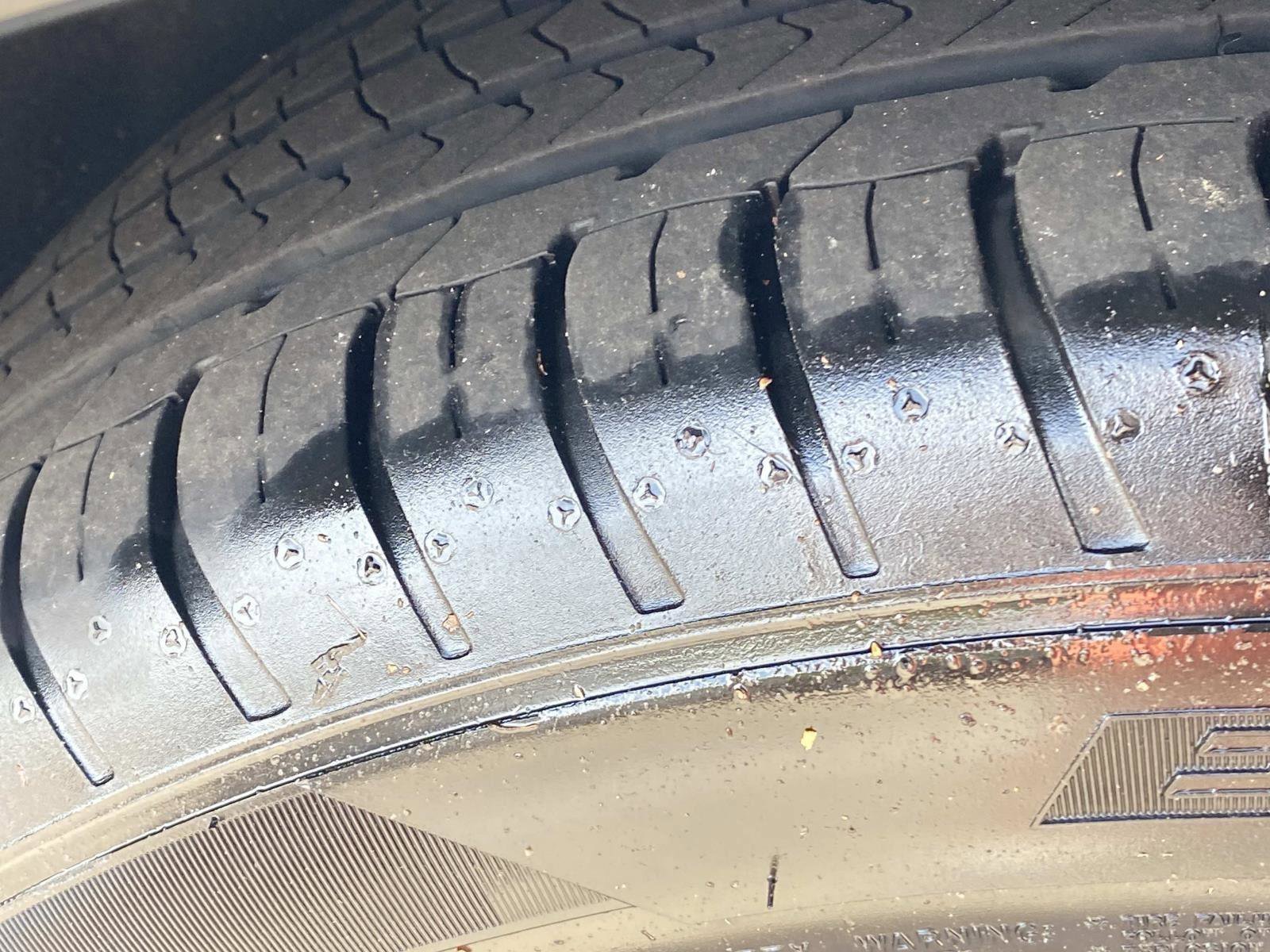 2025 Dodge Hornet R/T