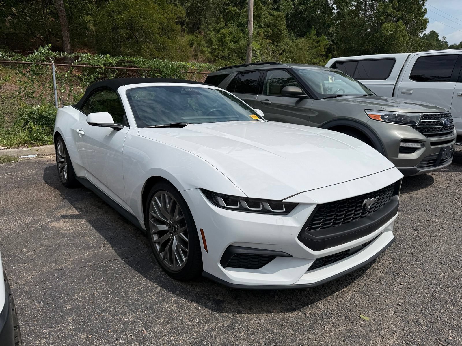 Used 2024 Ford Mustang Premium