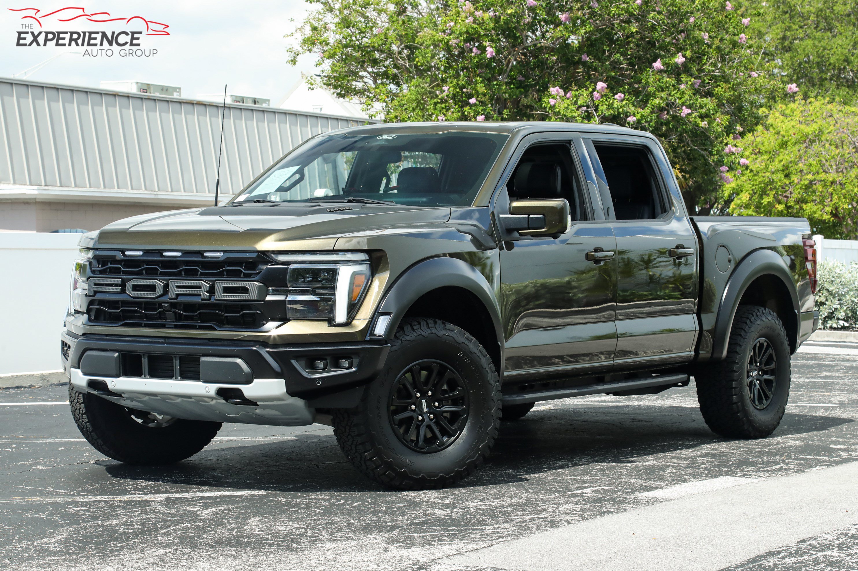 Used 2025 Ford F150 Raptor