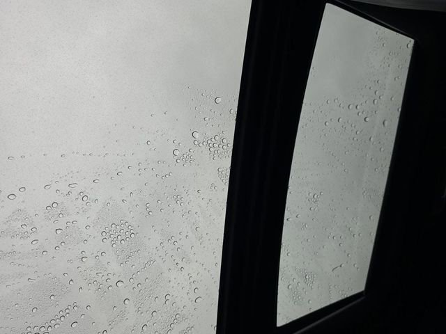 2017 Lexus RX 350 F Sport