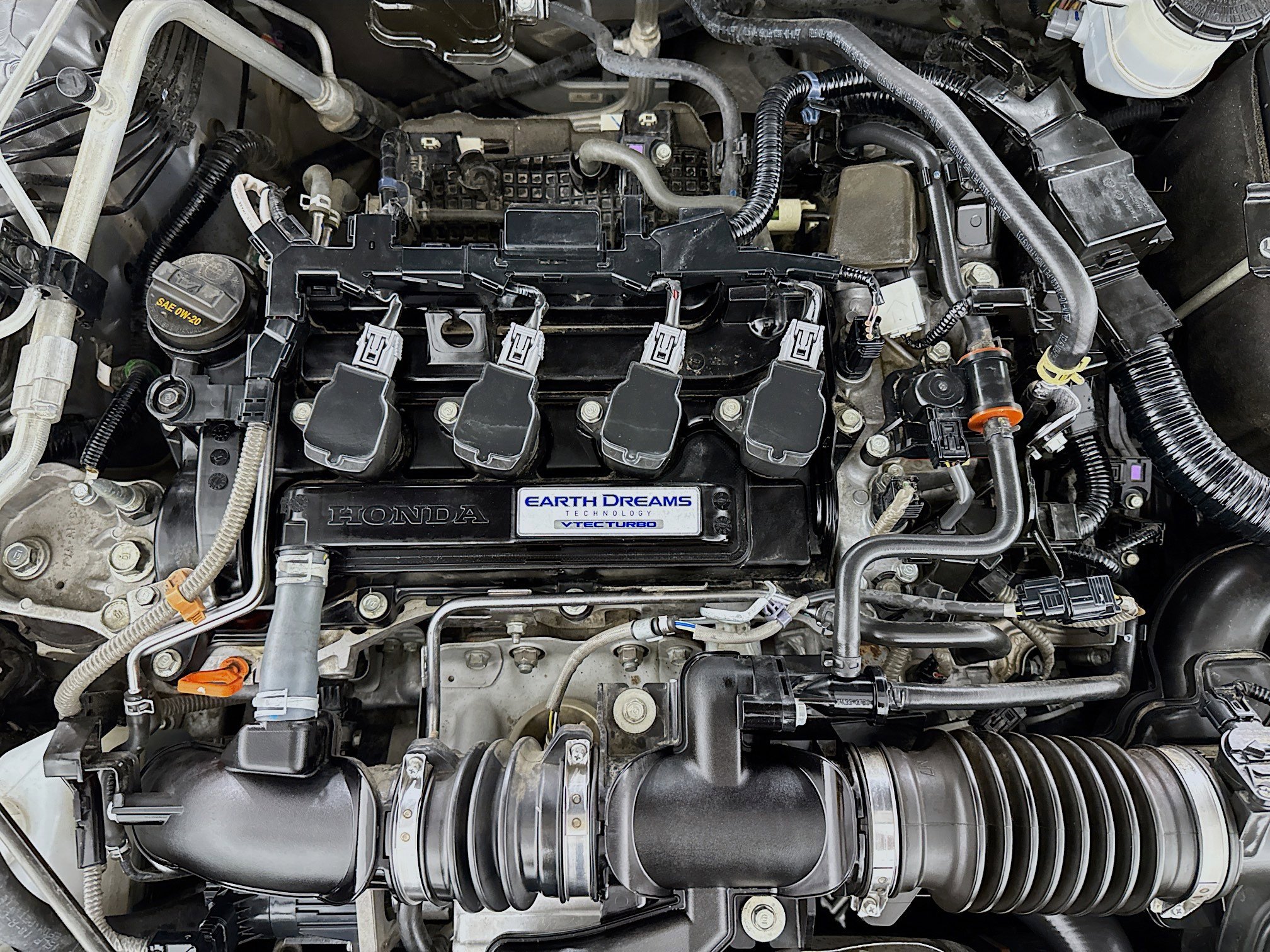 2019 Honda Accord EX