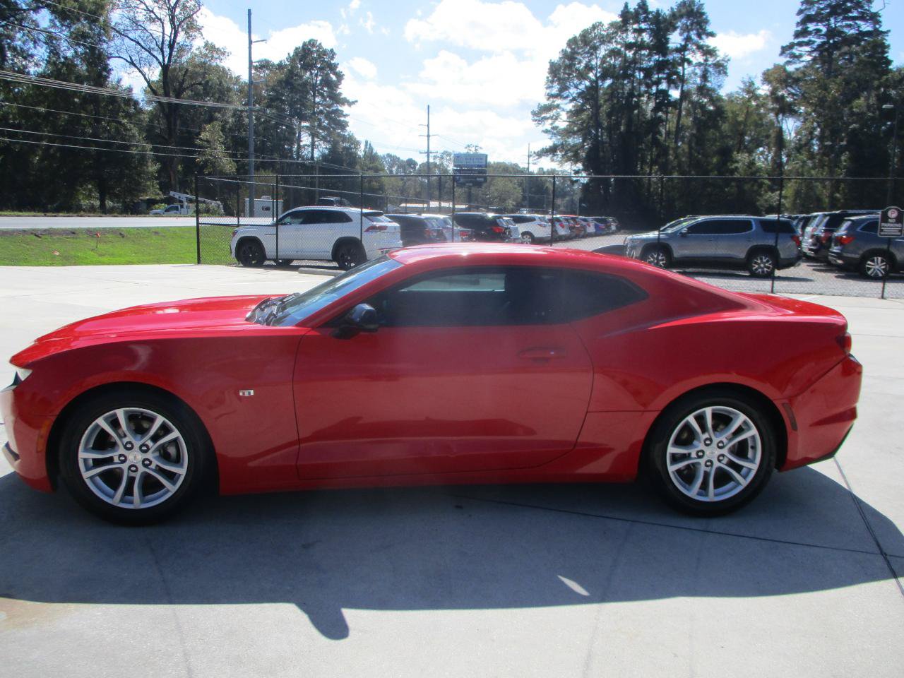 Photo 8