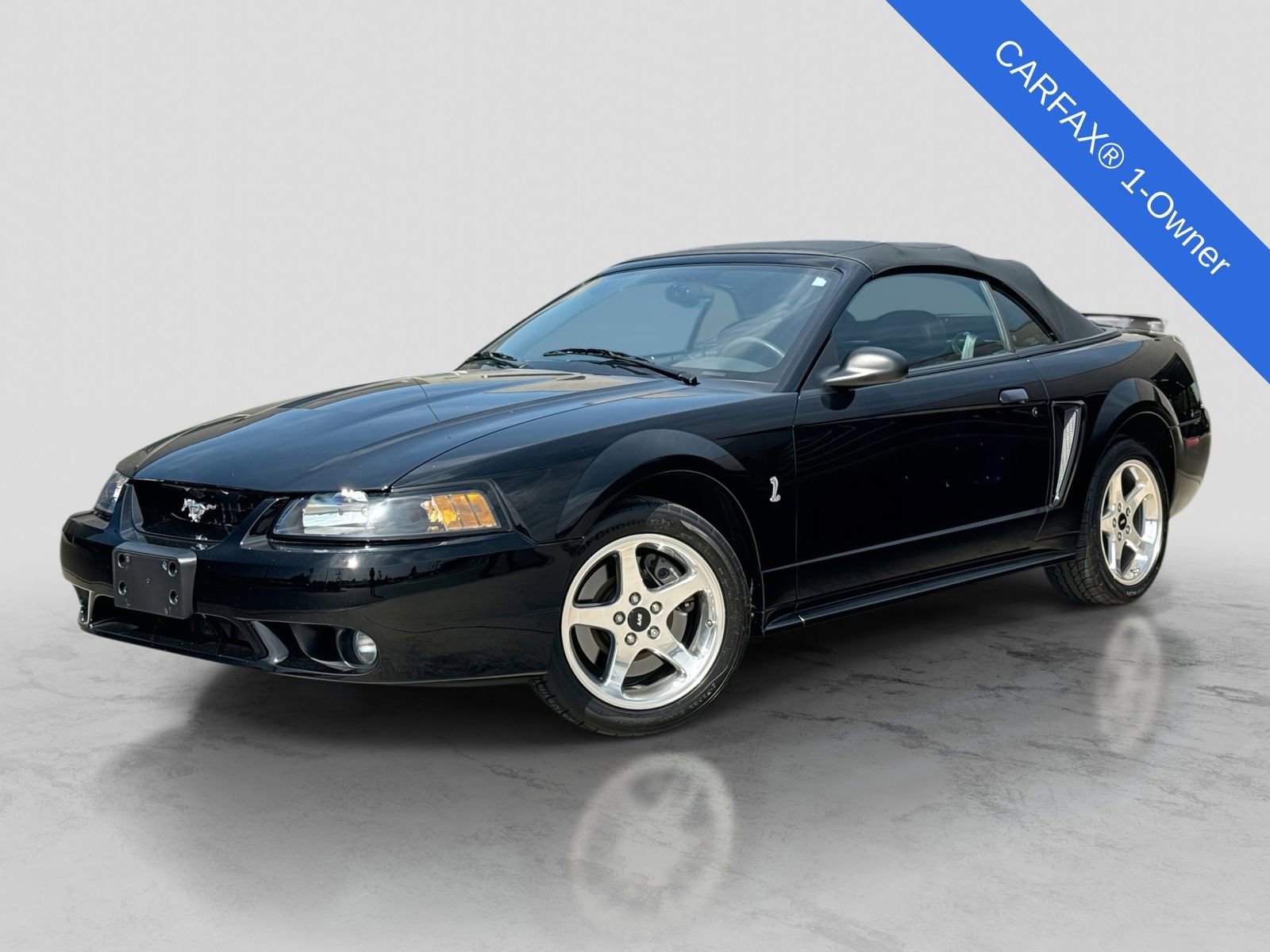 Used 2001 Ford Mustang Cobra