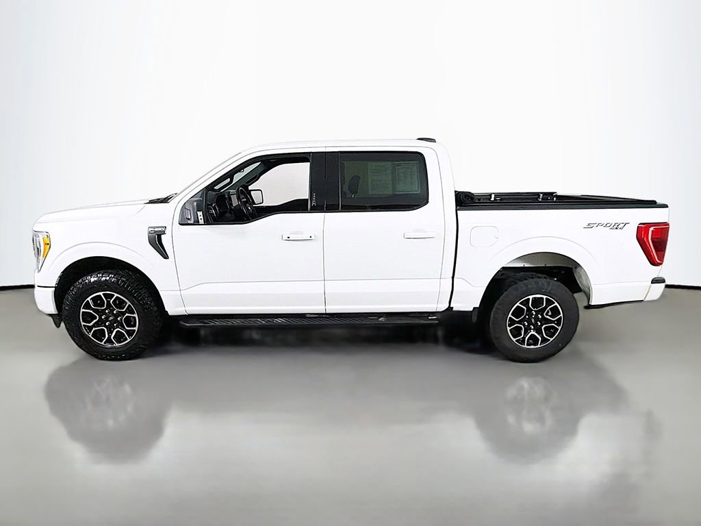 2023 Ford F150 XLT