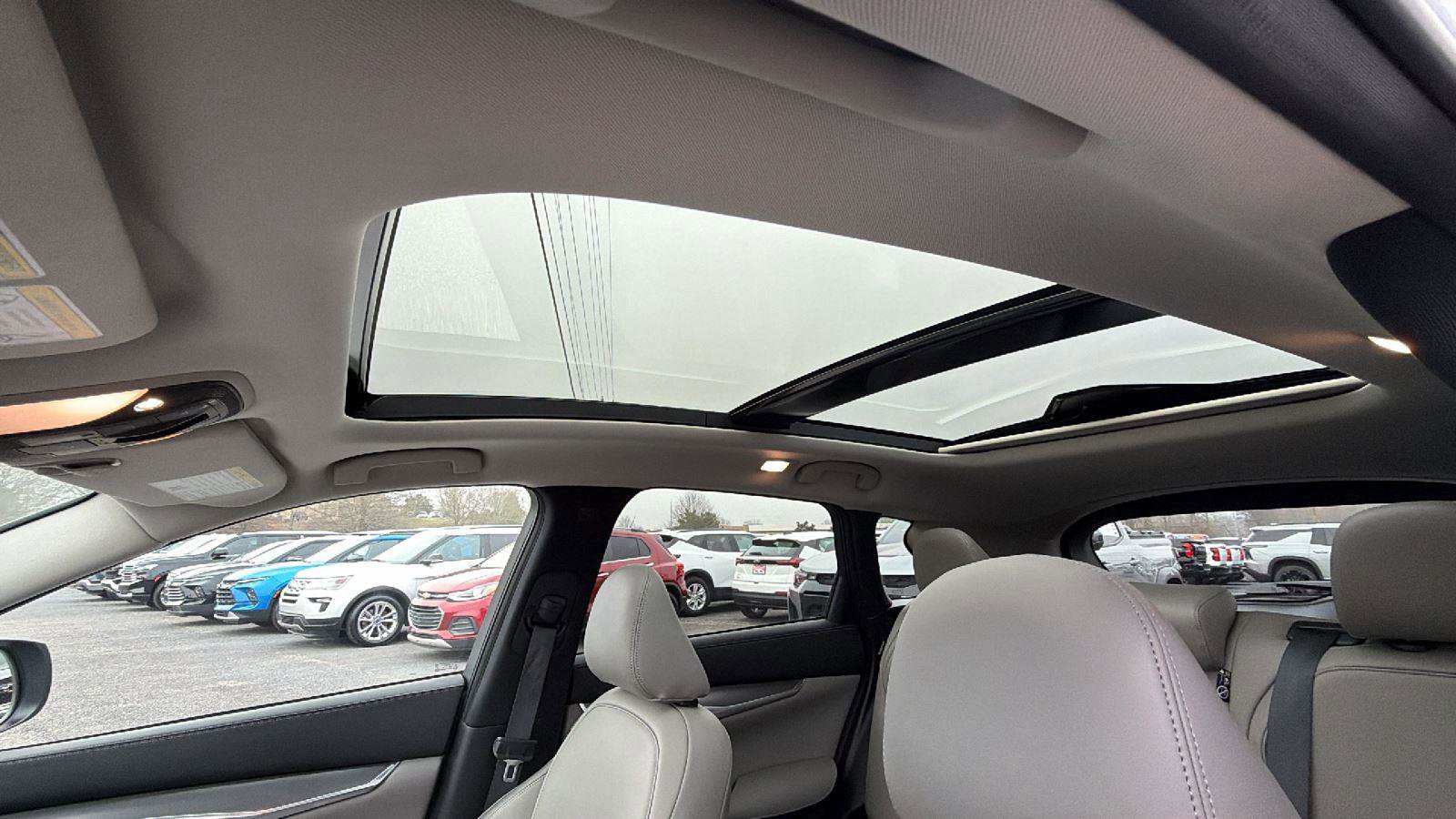 2023 INFINITI Qx50 Luxe