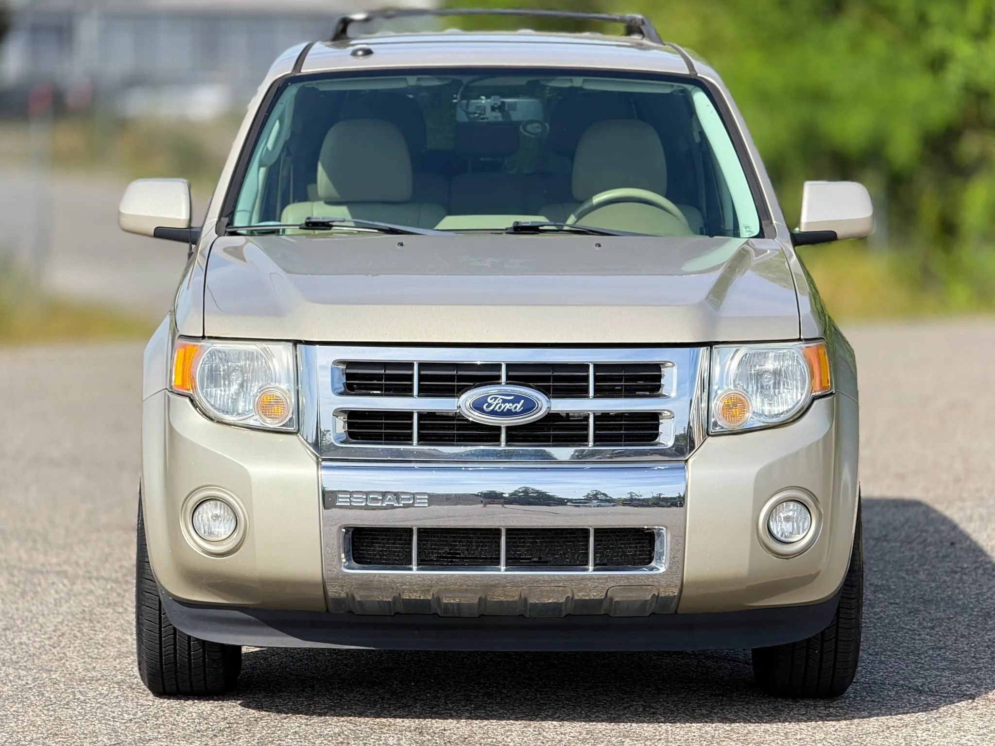 2010 Ford Escape Limited