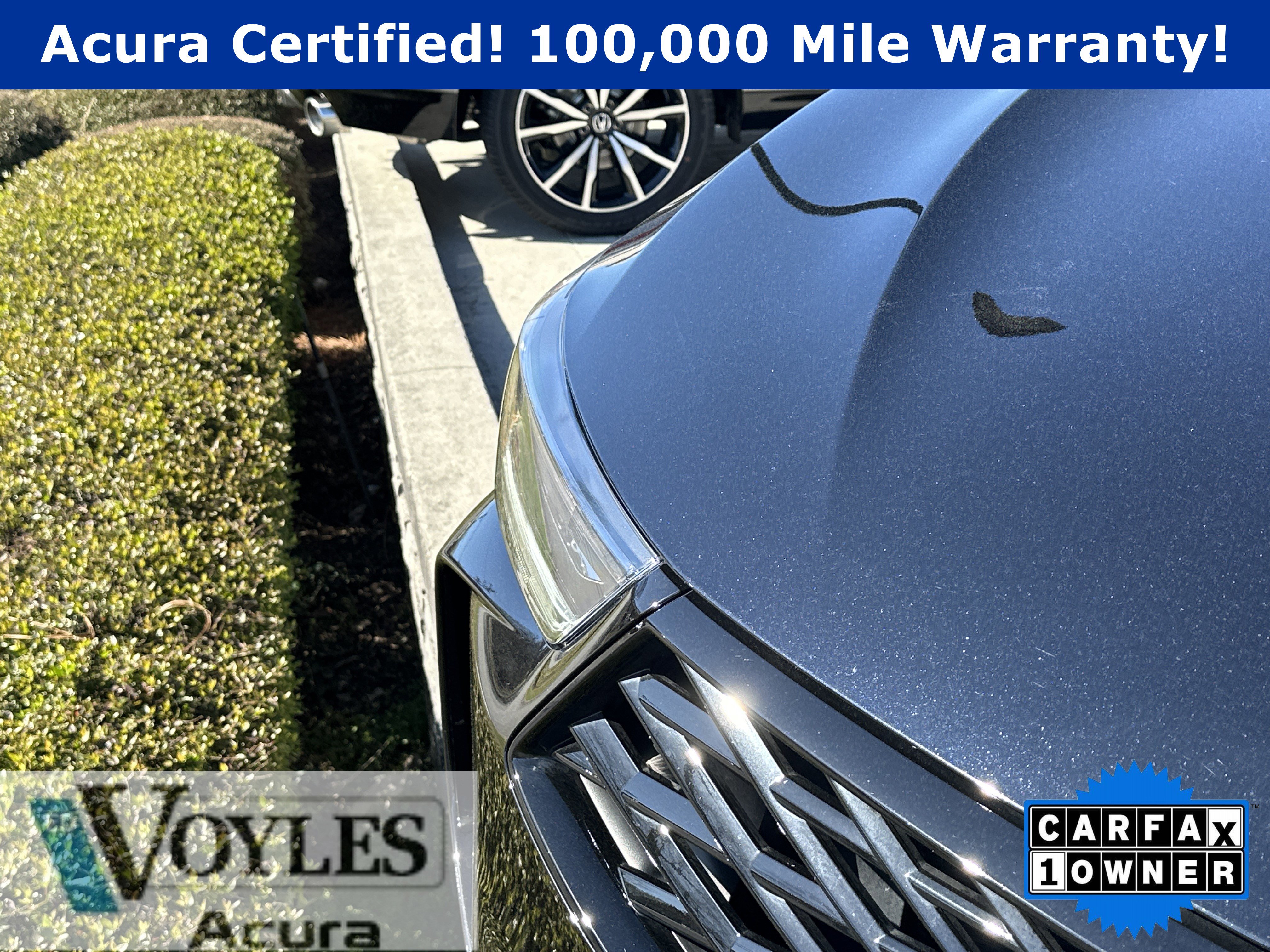 2025 Acura RDX SH-AWD