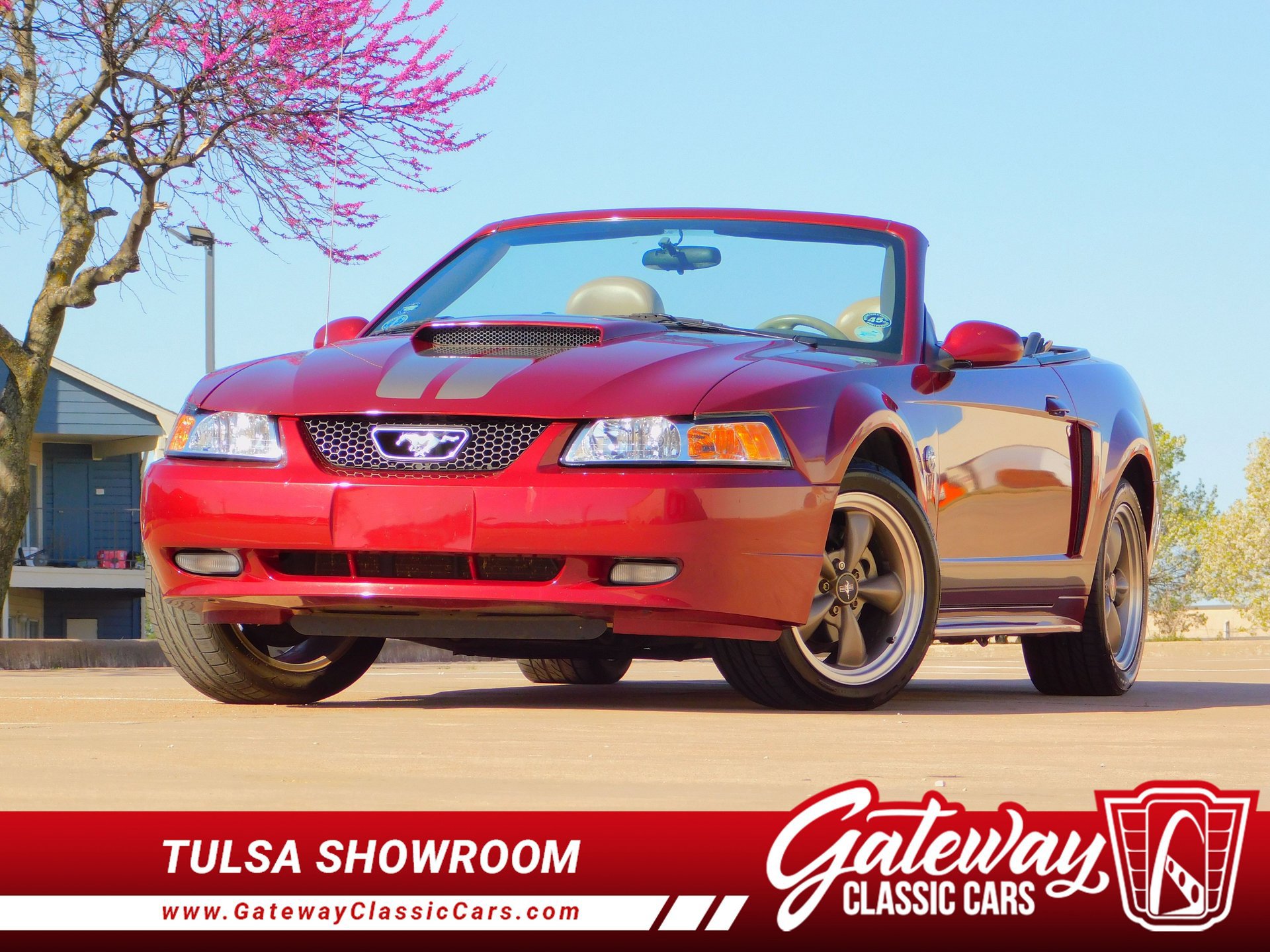 Used 2004 Ford Mustang GT