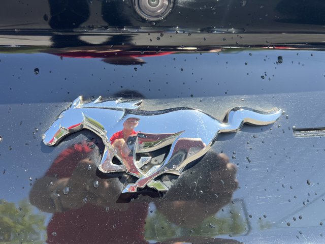 2020 Ford Mustang Coupe