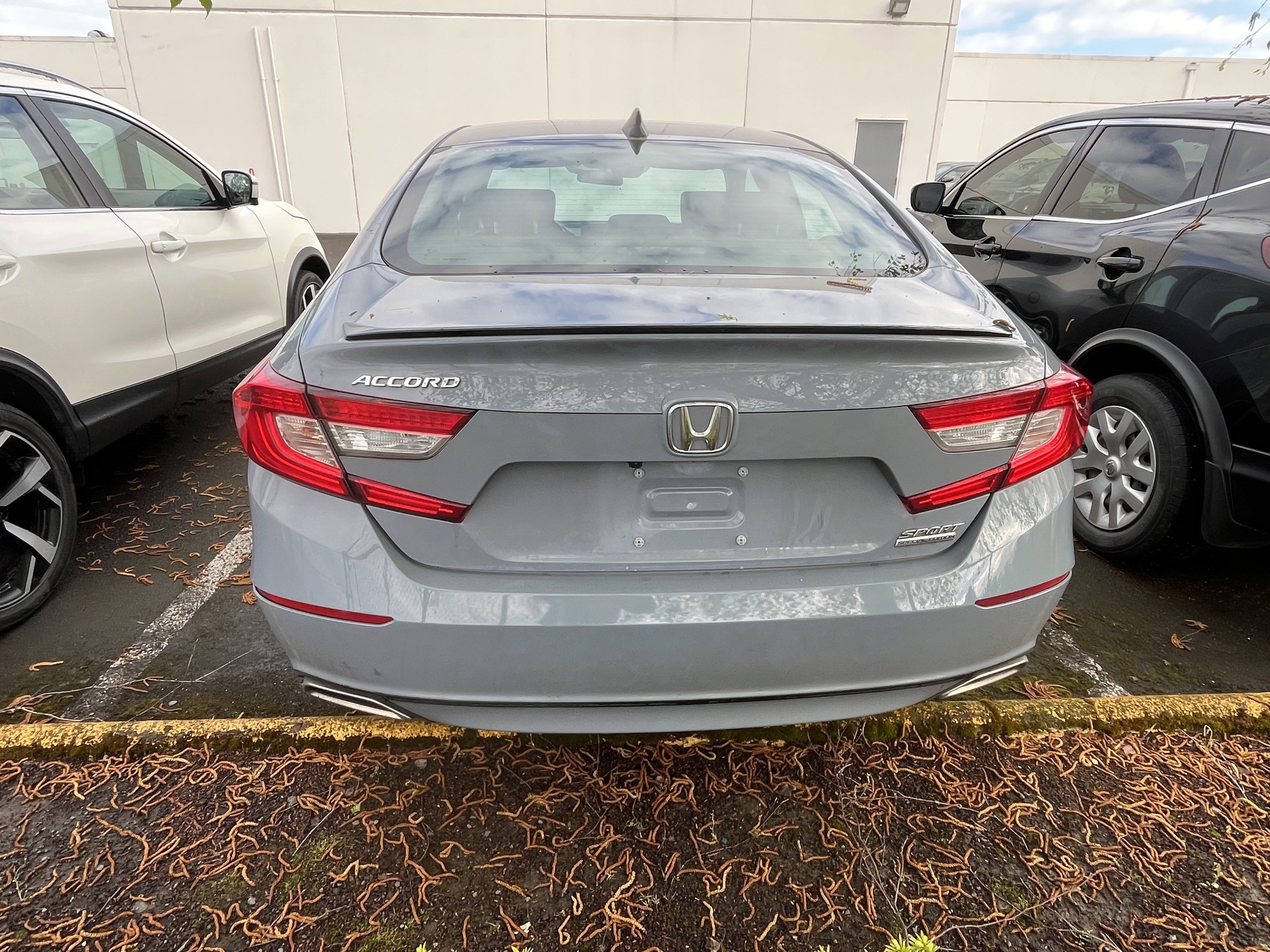 2021 Honda Accord Sport Special Edition