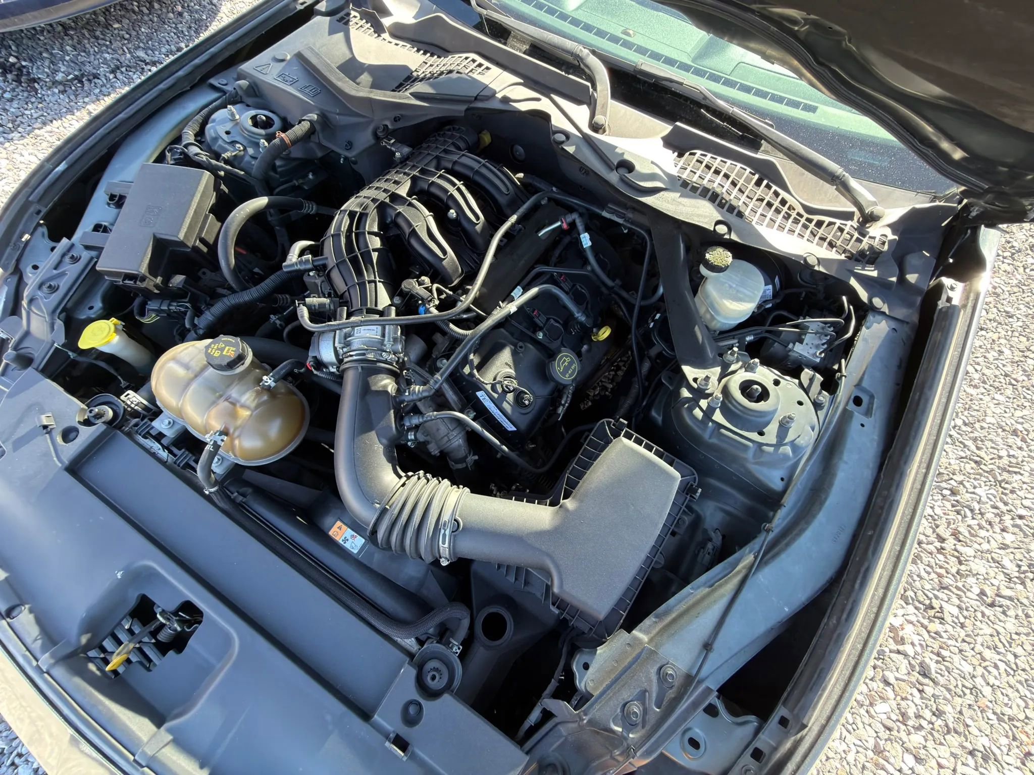 2015 Ford Mustang Convertible