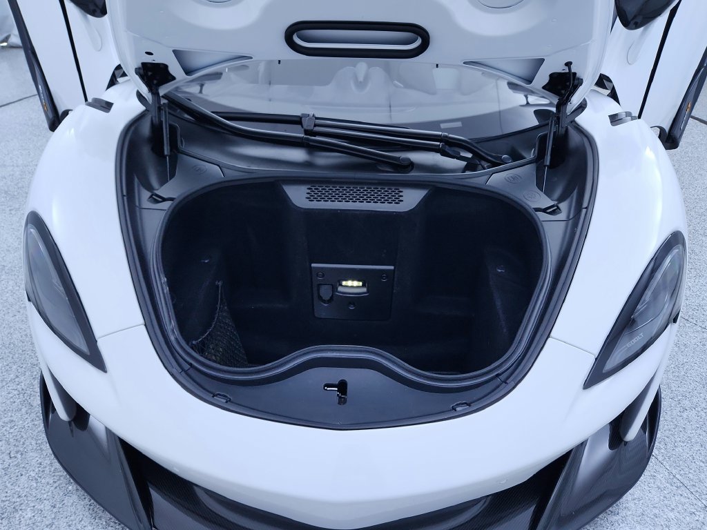 Used 2019 McLaren 600LT photo 13