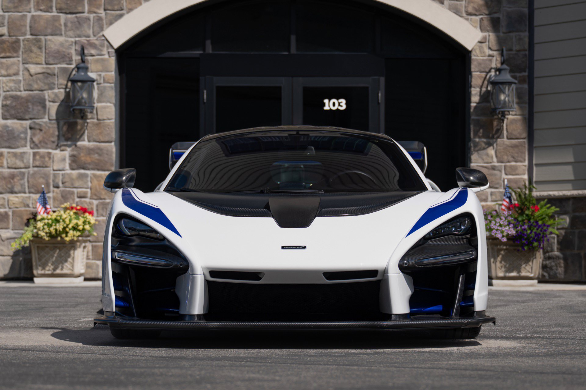 Used 2019 McLaren Senna photo 20