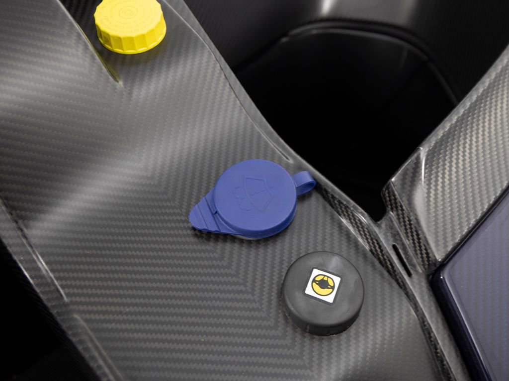 Used 2019 McLaren Senna photo 77