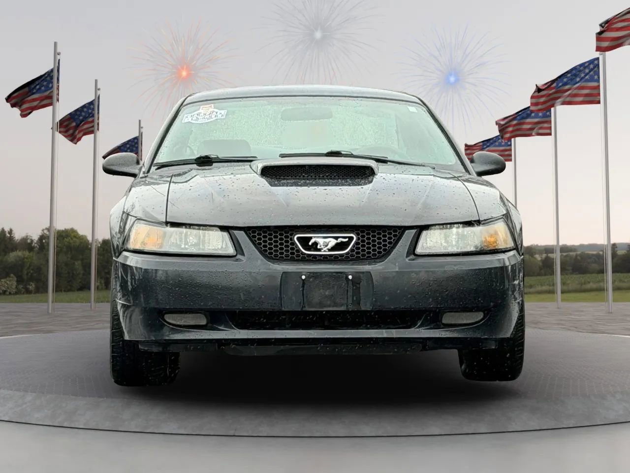 Photo 3