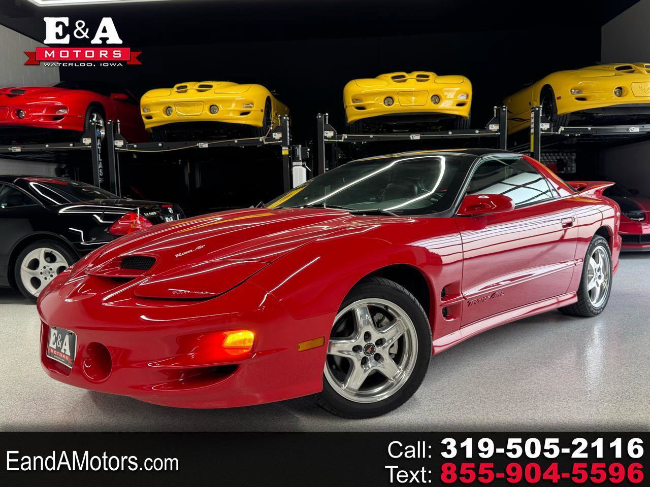 Used 2002 Pontiac Firebird Trans Am