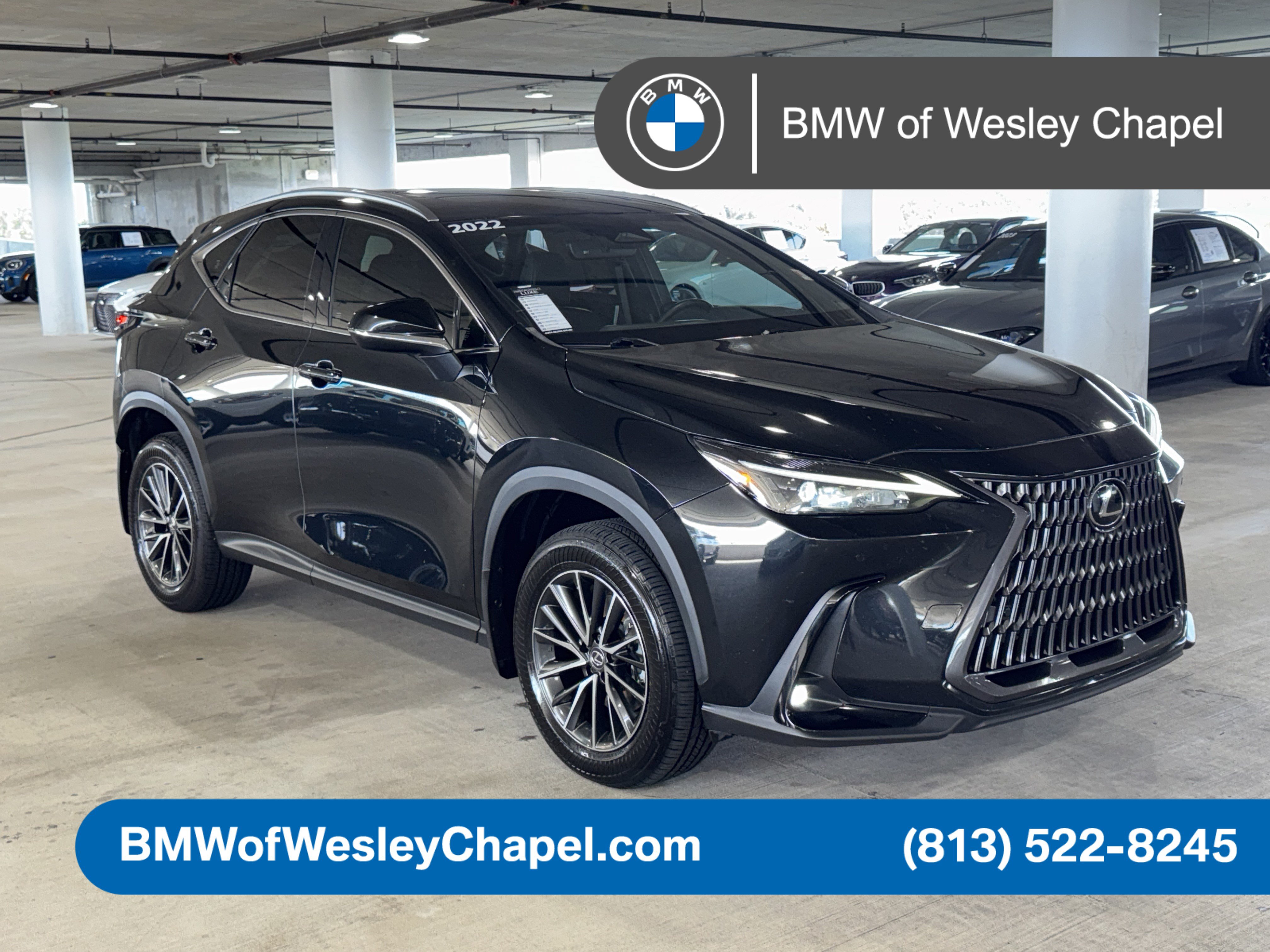 Used 2022 Lexus NX 350 for Sale in Tampa, FL - Autotrader