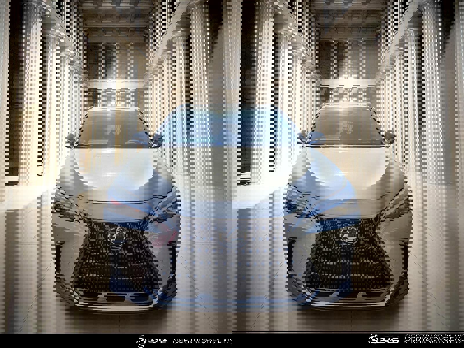 2024 Lexus NX 350 AWD