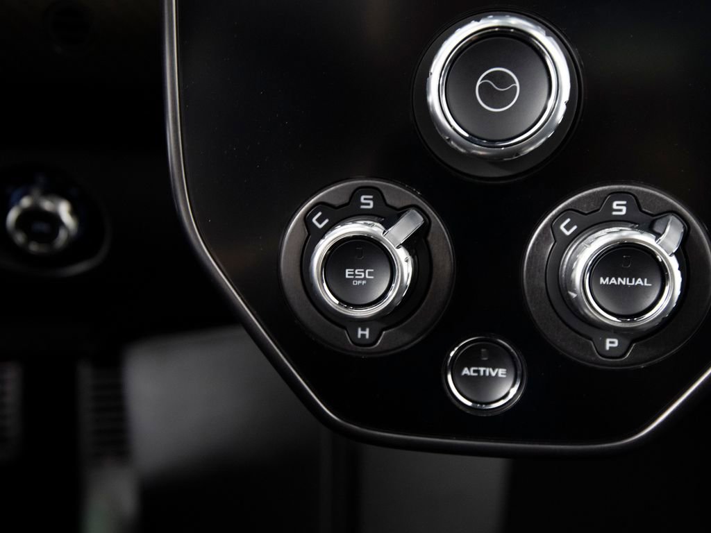 Used 2019 McLaren Senna photo 36