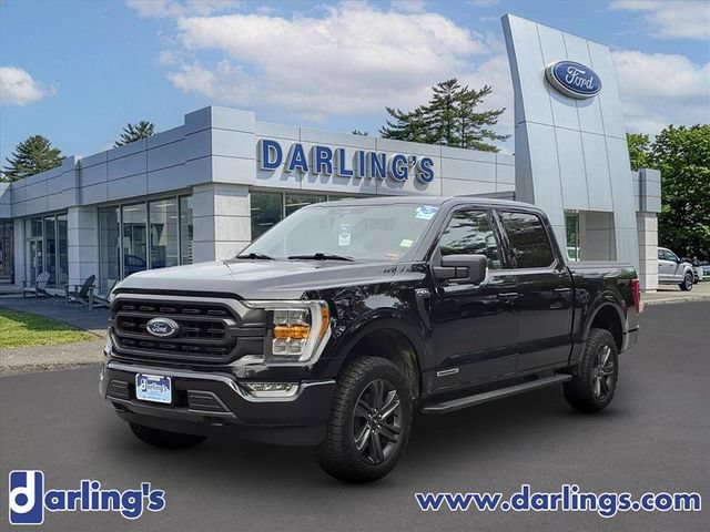 Used 2023 Ford F150 XLT w/ Equipment Group 302A High