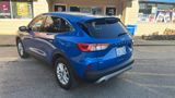 Used 2020 Ford Escape SE image 5