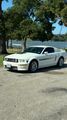 Used 2008 Ford Mustang GT Premium image 4