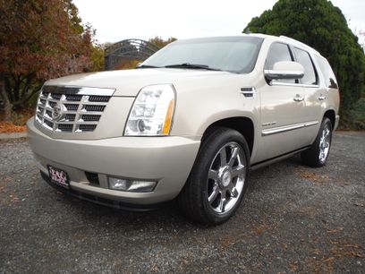 Used 2010 Cadillac Escalade Premium Luxury