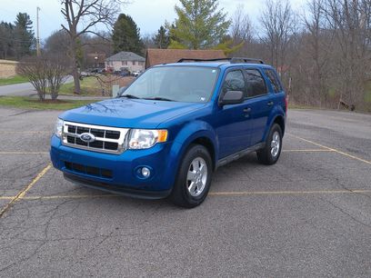 Used 2011 Ford Escape XLT