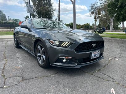 Used 2015 Ford Mustang Coupe w/ Equipment Group 051A