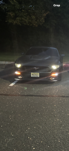 Used 2016 Ford Mustang Premium w/ Equipment Group 201A