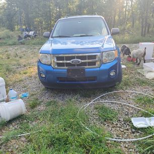 Used 2012 Ford Escape XLT