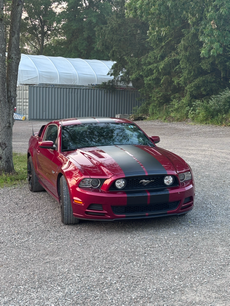 Used 2014 Ford Mustang GT Premium