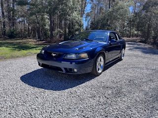 Used 2001 Ford Mustang Cobra