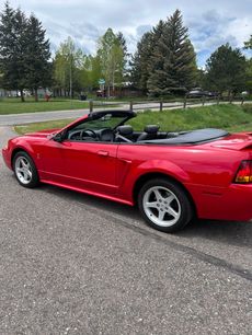 Used 1999 Ford Mustang Cobra