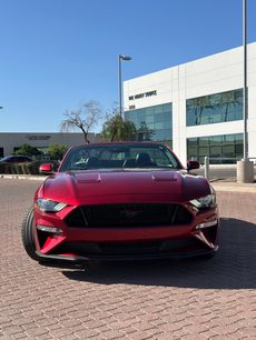 Used 2019 Ford Mustang GT Premium w/ Equipment Group 401A