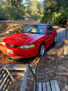 Used 2000 Ford Mustang GT