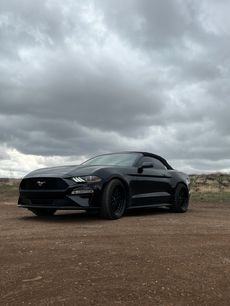 Used 2019 Ford Mustang Premium