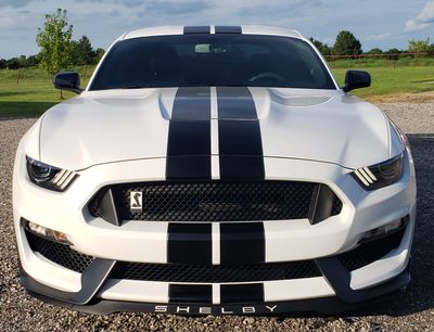 Used 2019 Ford Mustang Shelby GT350 w/ Technology Package