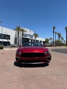Used 2019 Ford Mustang GT Premium w/ Equipment Group 401A