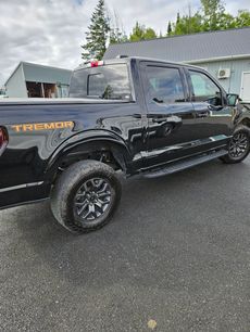 Used 2022 Ford F150 Tremor w/ Equipment Group 402A High