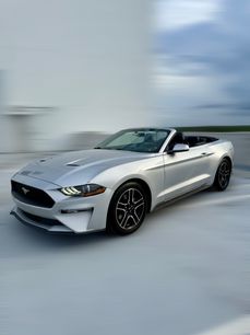 Used 2018 Ford Mustang Premium w/ Equipment Group 201A