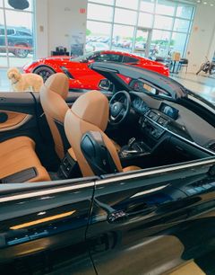 Used 2016 BMW 428i Convertible
