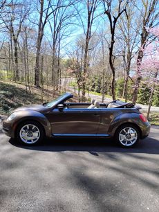 Used 2013 Volkswagen Beetle 2.5