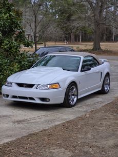 Used 2001 Ford Mustang Cobra