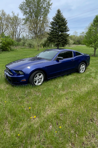 Used 2014 Ford Mustang Coupe w/ Equipment Group 102A