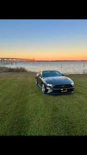 Used 2018 Ford Mustang Premium w/ Pony Package