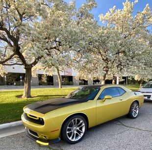 Used 2020 Dodge Challenger GT