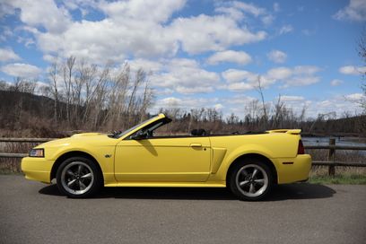 Used 2001 Ford Mustang GT Premium