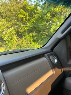 Used 2010 Ford F150 XLT
